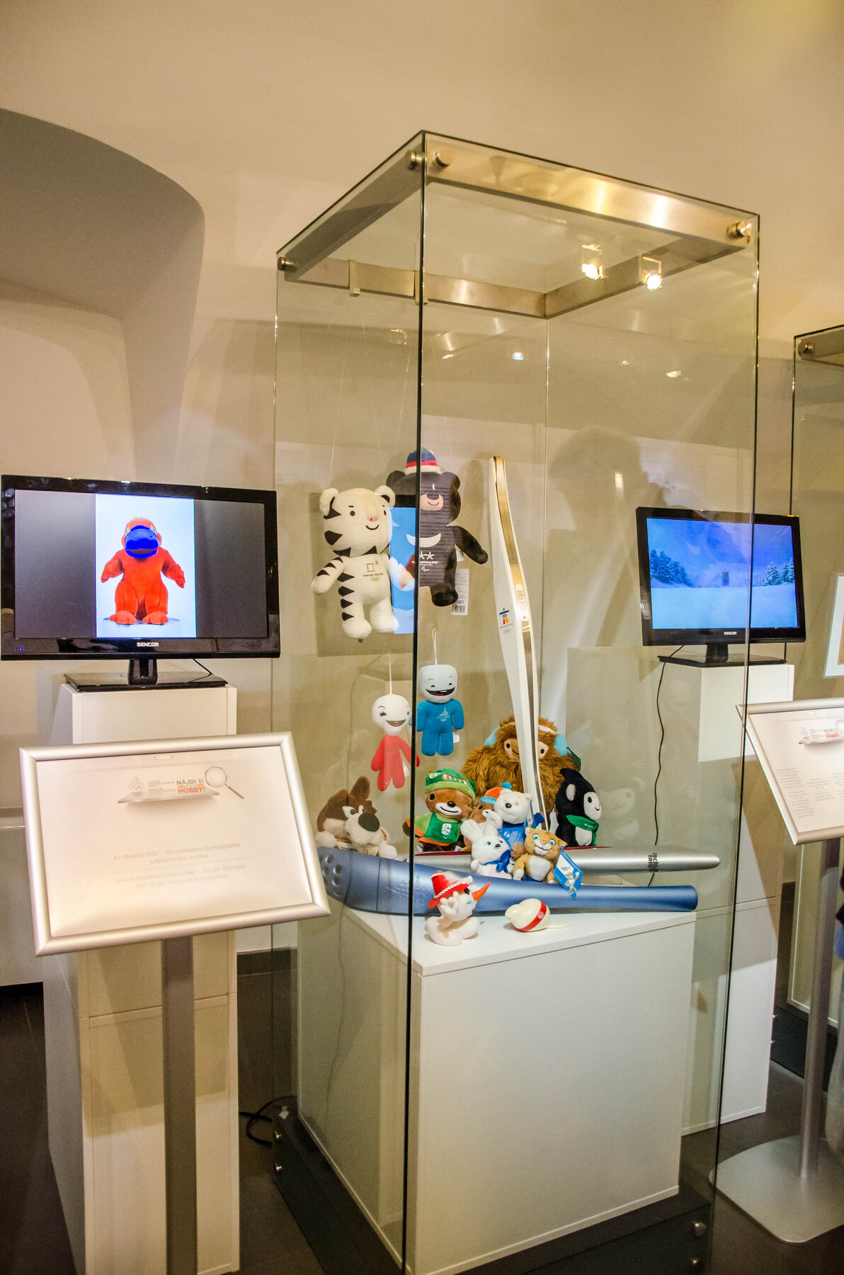 World Olympic Collectors Fair in Bratislava – photograph 133